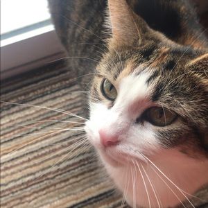 Meet your Posher, Emma